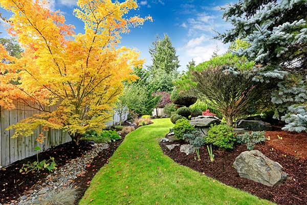 Soft Landscaping - Gardening Services